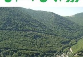 روز جنگلبان