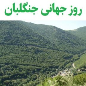 روز جنگلبان