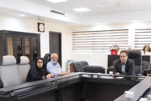کمیته فناوری اطلاعات