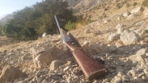 کشف وضبط دوقبضه اسلحه ویک خودروی حامل هیزم