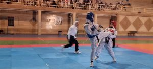 مسابقات تکواندو انتخابی بانوان در سیسخت