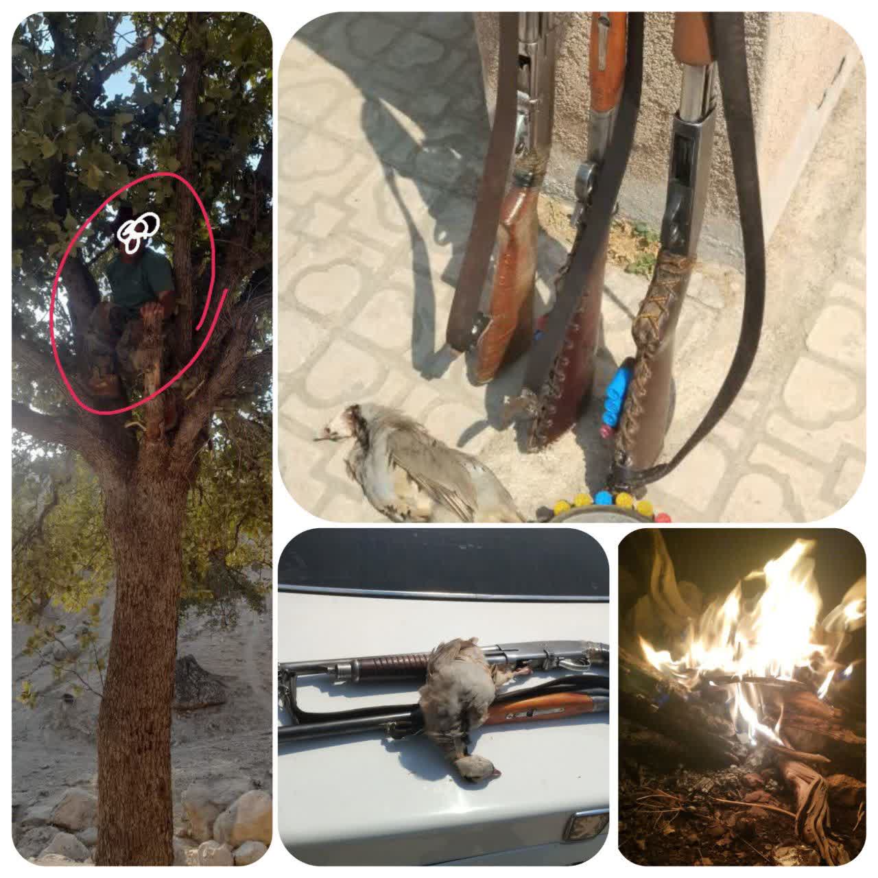 دستگیری ۴شکارچی متخلف در چرام 