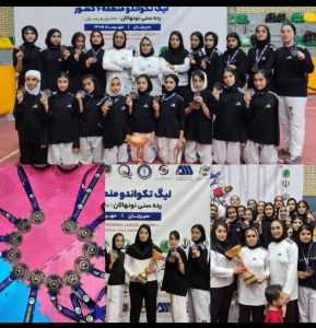 مقام سوم تیم ویوا دنا