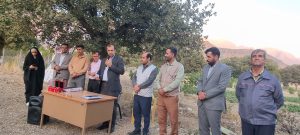 کشت زعفران در بن زرد علیا