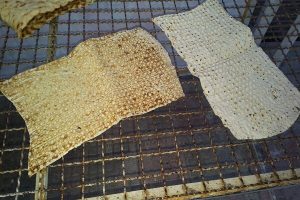 کیفیت پایین نان در نانواییهای سیسخت